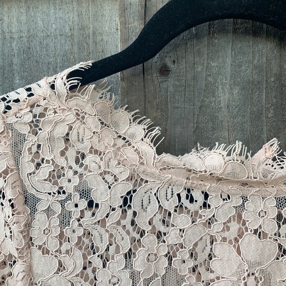 {Joie} Beautiful Blush lace blouse top - Picture 4 of 9